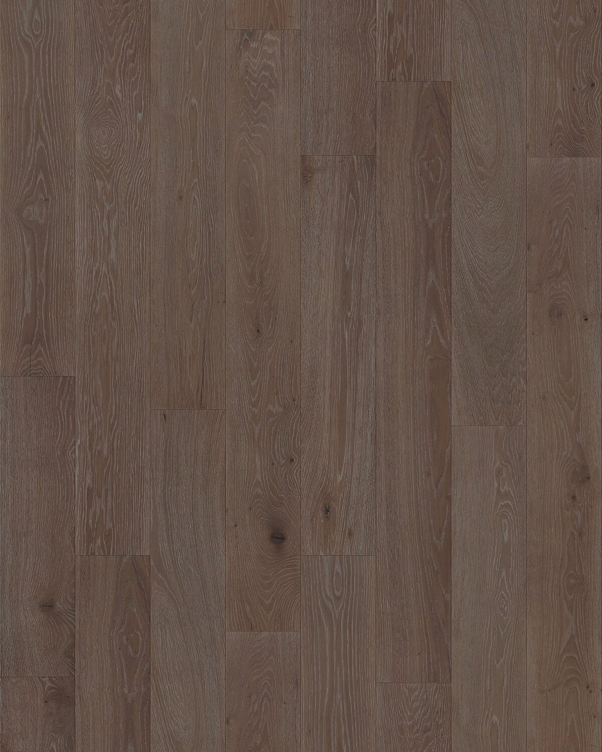 Oak Wentworth European Oak Flooring – Luxury Engineered Wood by VOGUE Parquet®