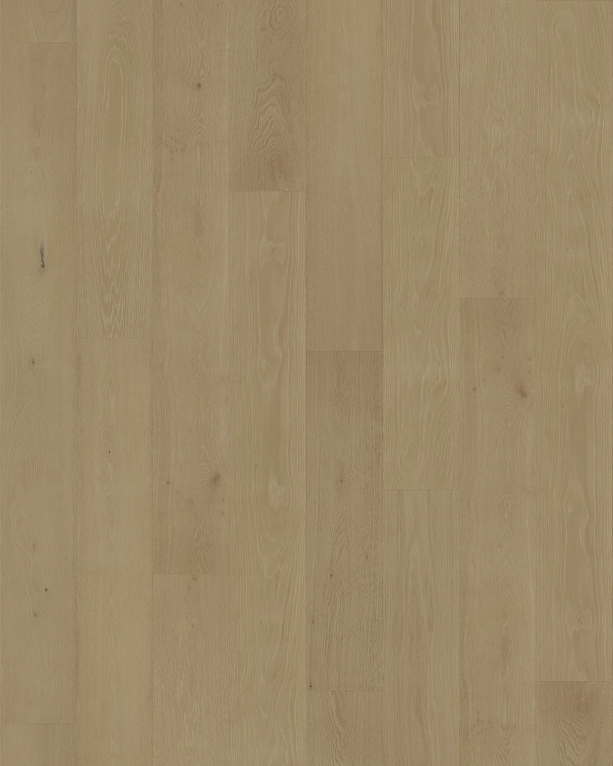 Oak Alimia European Oak Flooring by VOGUE Parquet
