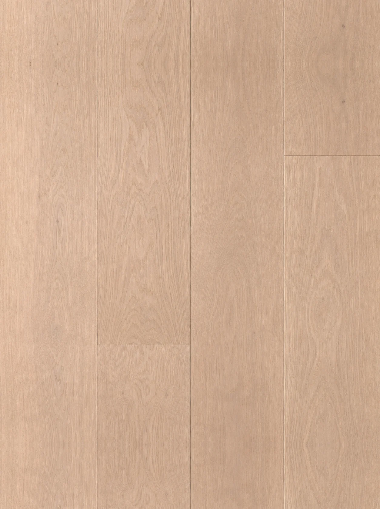 Oak Titanium Buff — European Oak Engineered Wood Floor | VOGUE Parquet European Oak Flooring Oak Titanium Buff by VOGUE Parquet
